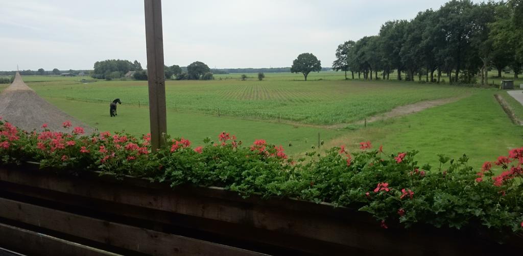 Boschzicht Hotel Echten  Ruang foto